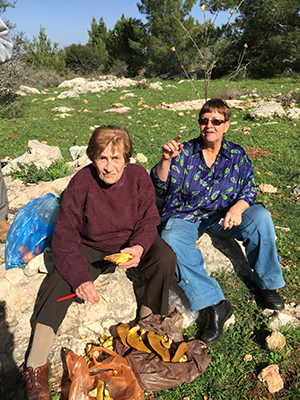מקלפים פטריות