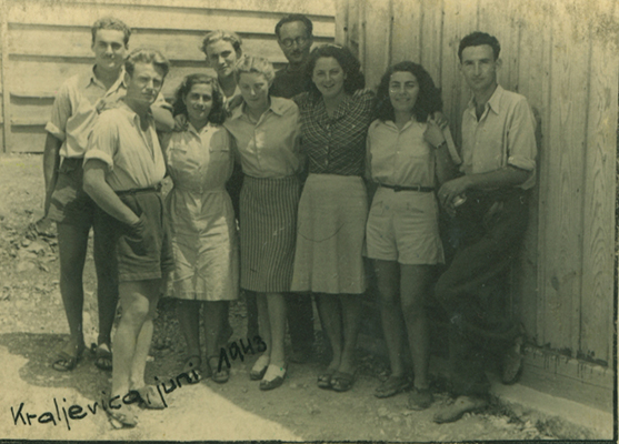 קרליביצה